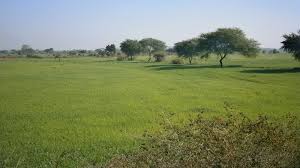 Land