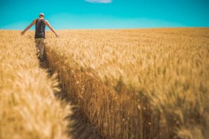 make money farming