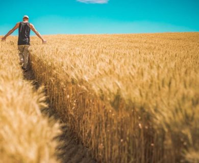 make money farming