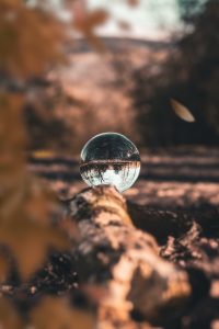25 steps to start a real estate business from scratch