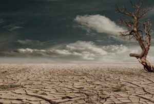 Top agricultural problems and solutions