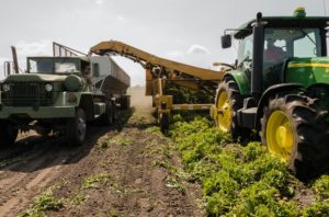 Top agricultural problems and solutions