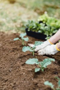 Top agricultural problems and solutions