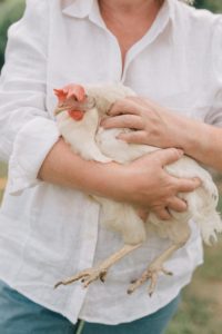Top agricultural problems and solutions