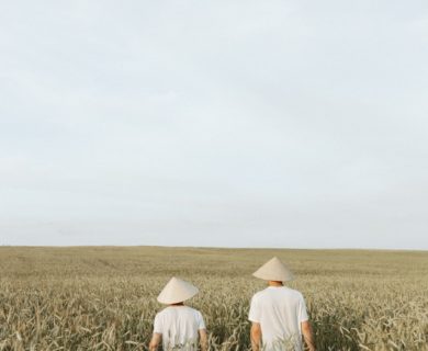 Farming Tips for Beginners