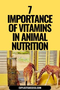 7 Importance Of Vitamins In Animal Nutrition
