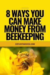 8 Ways You Can Make Money From Beekeeping