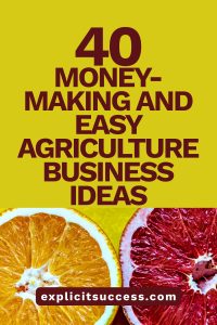 40 Money-Making and Easy Agriculture Business Ideas