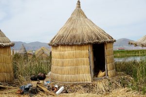 money making and easy agriculture business ideas