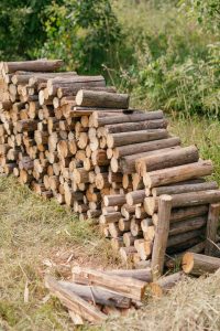 money making and easy agriculture business ideas