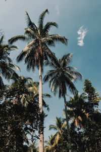 money making and easy agriculture business ideas