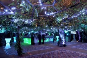 9 Remarkable School Ball Formal Themes