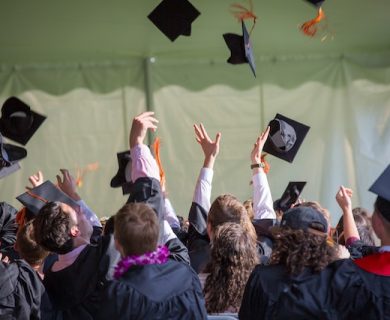 20 things to do after bachelor degree