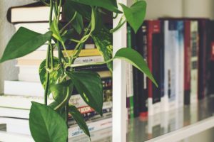 5 Benefits of Professional Landscape Design Software For Outdoor Bliss
