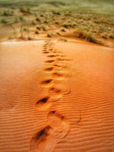 Necessary Steps to Form an LLC in Michigan