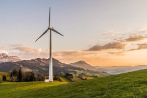 When Companies Are Committed To Sustainability