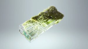 When Companies Are Committed To Sustainability