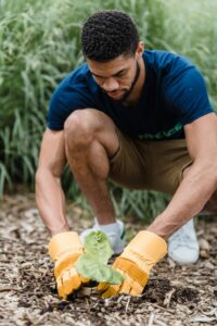Provide Gardening Services as a side job