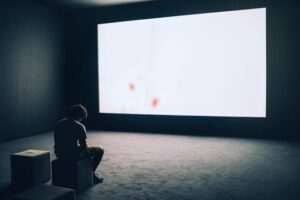 Home Entertainment Space