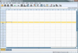 SPSS for data analysis