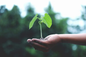20 Ways to Overcome Culture Shock