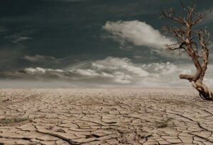 Climate Change Affect Food Production