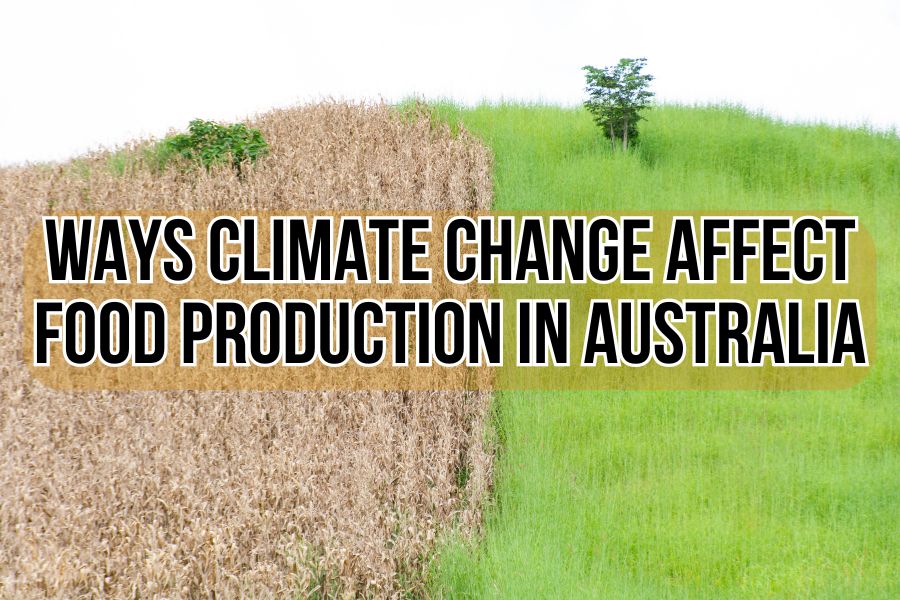 Climate Change Affect Food Production 
