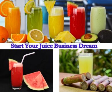 Start Your Juice Business Dream: Squeeze the Day