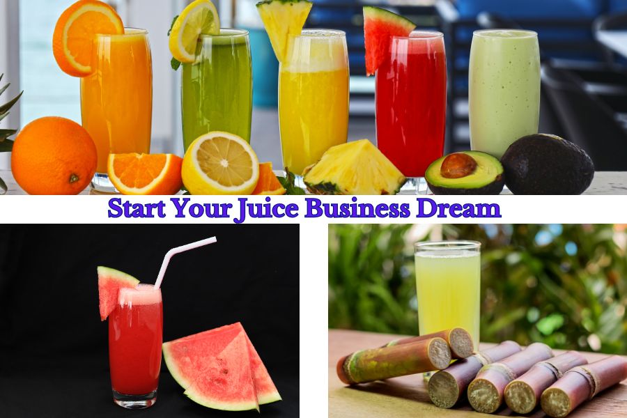 Start Your Juice Business Dream: Squeeze the Day