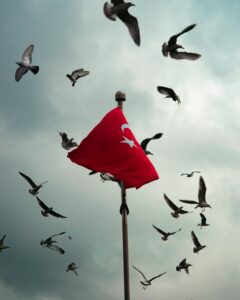 Why You Should Hire Migration Lawyers