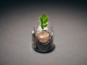 What To Keep In Mind When Running A Non-Profit Organisation