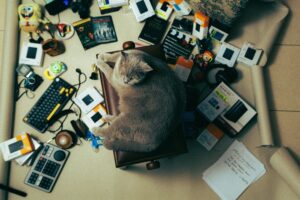 What To Keep In Mind When Running A Non-Profit Organisation