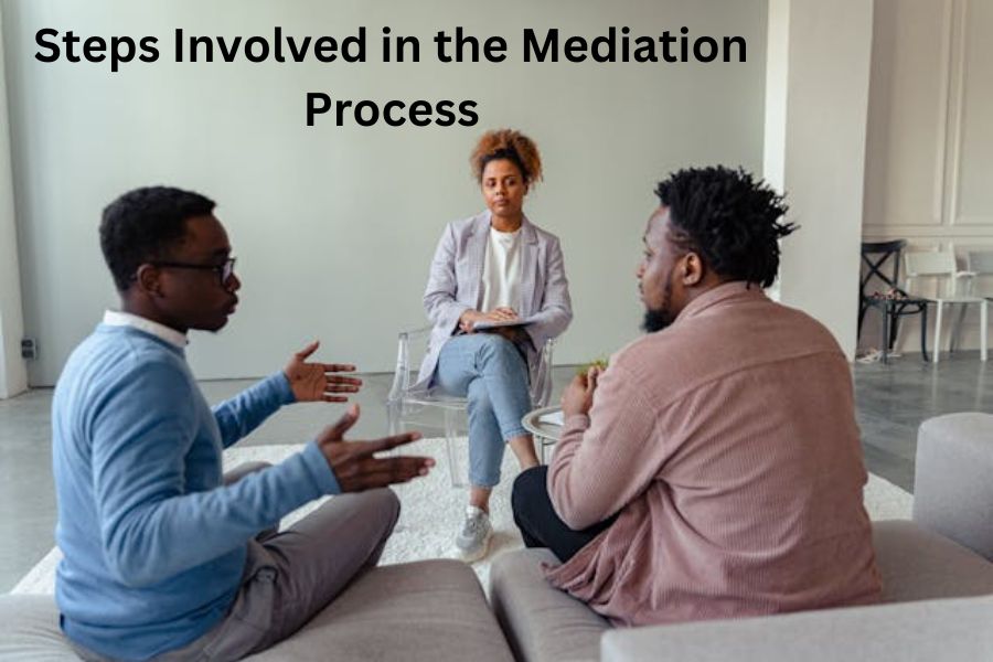 Steps Involved in the Mediation Process
