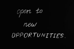 Look for opportunities with no Job experience 