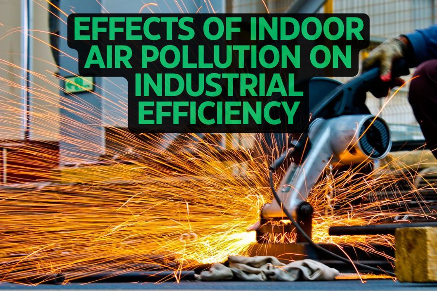 Effects of Pollution on Efficiency