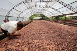 Food Manufacturing Processes and Ways to Boost Output