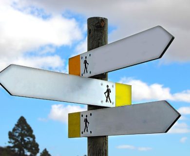 3 Key Steps to Build Your Career Path From The Ground Up