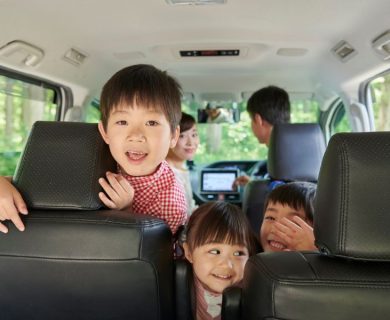 15 Tips for a Road Trip with Toddlers The Ultimate Checklist for Parents